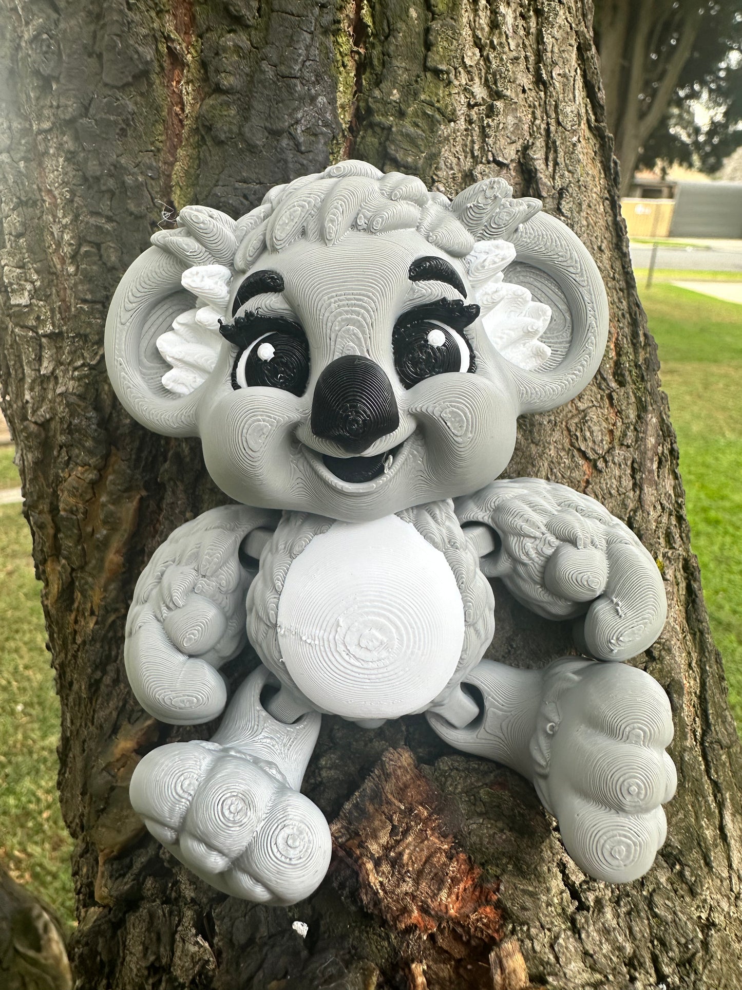 Koala