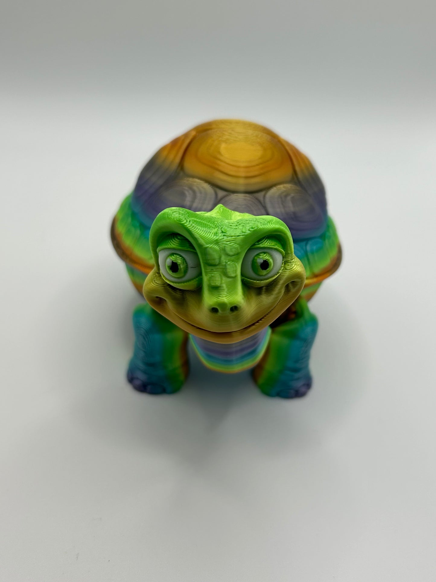 Tortoise with Opening Shell