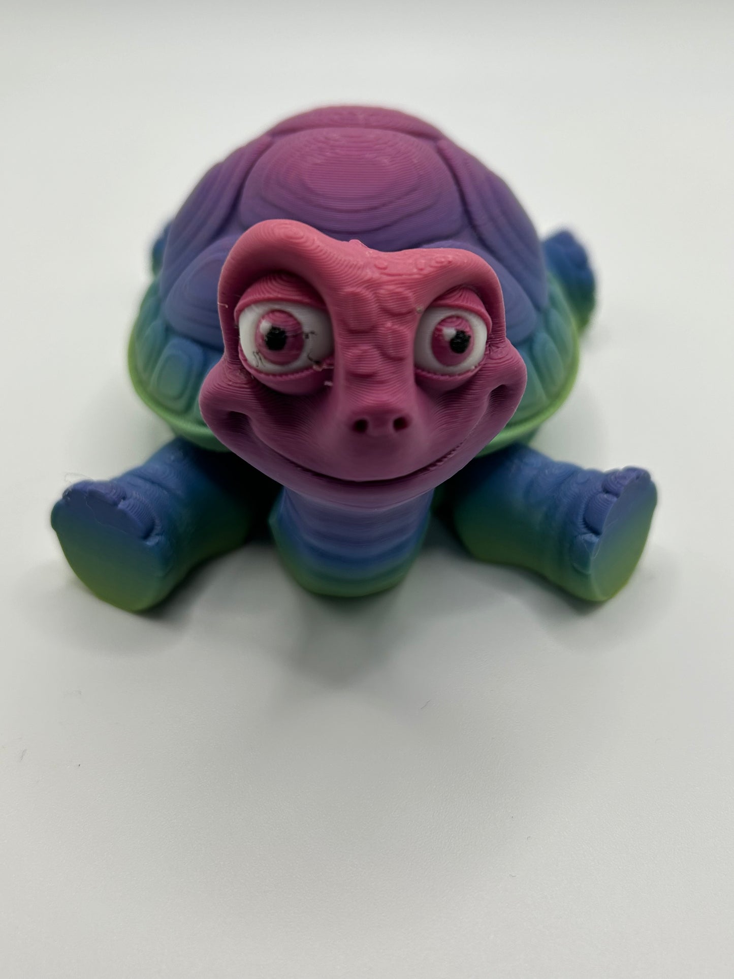 Tortoise with Opening Shell