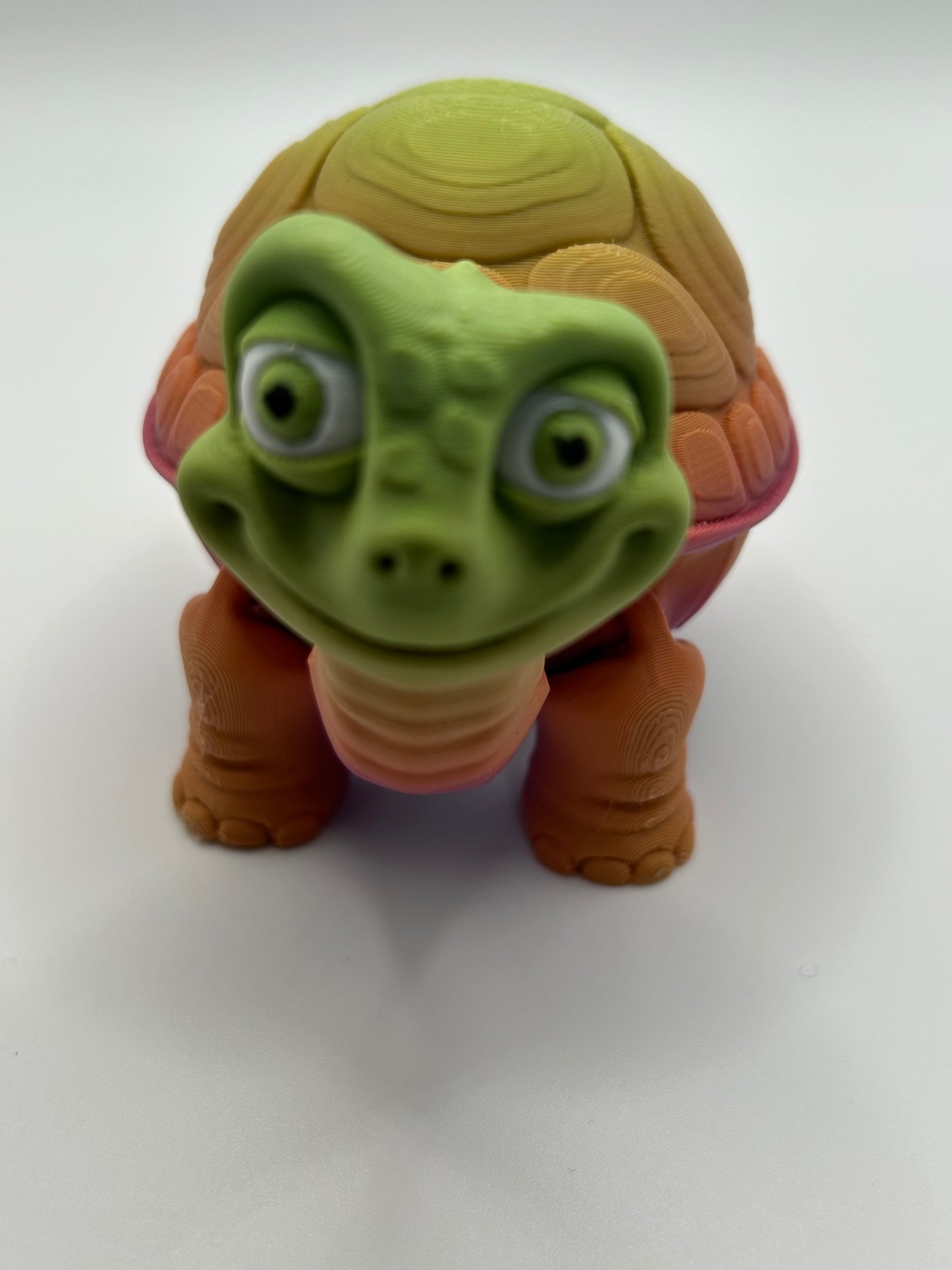 Tortoise with Opening Shell