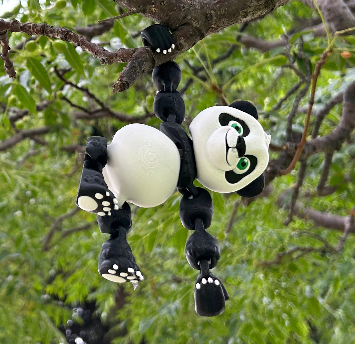 Hanging Panda