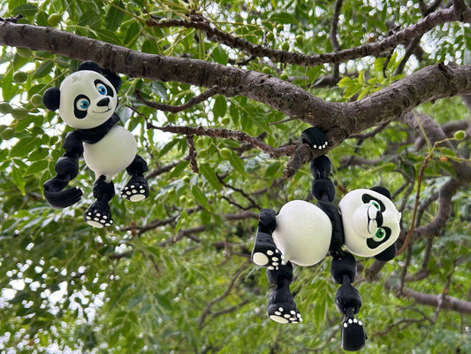 Hanging Panda