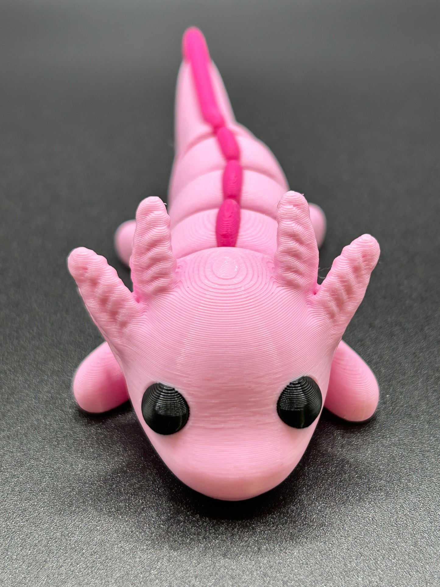 Axolotl