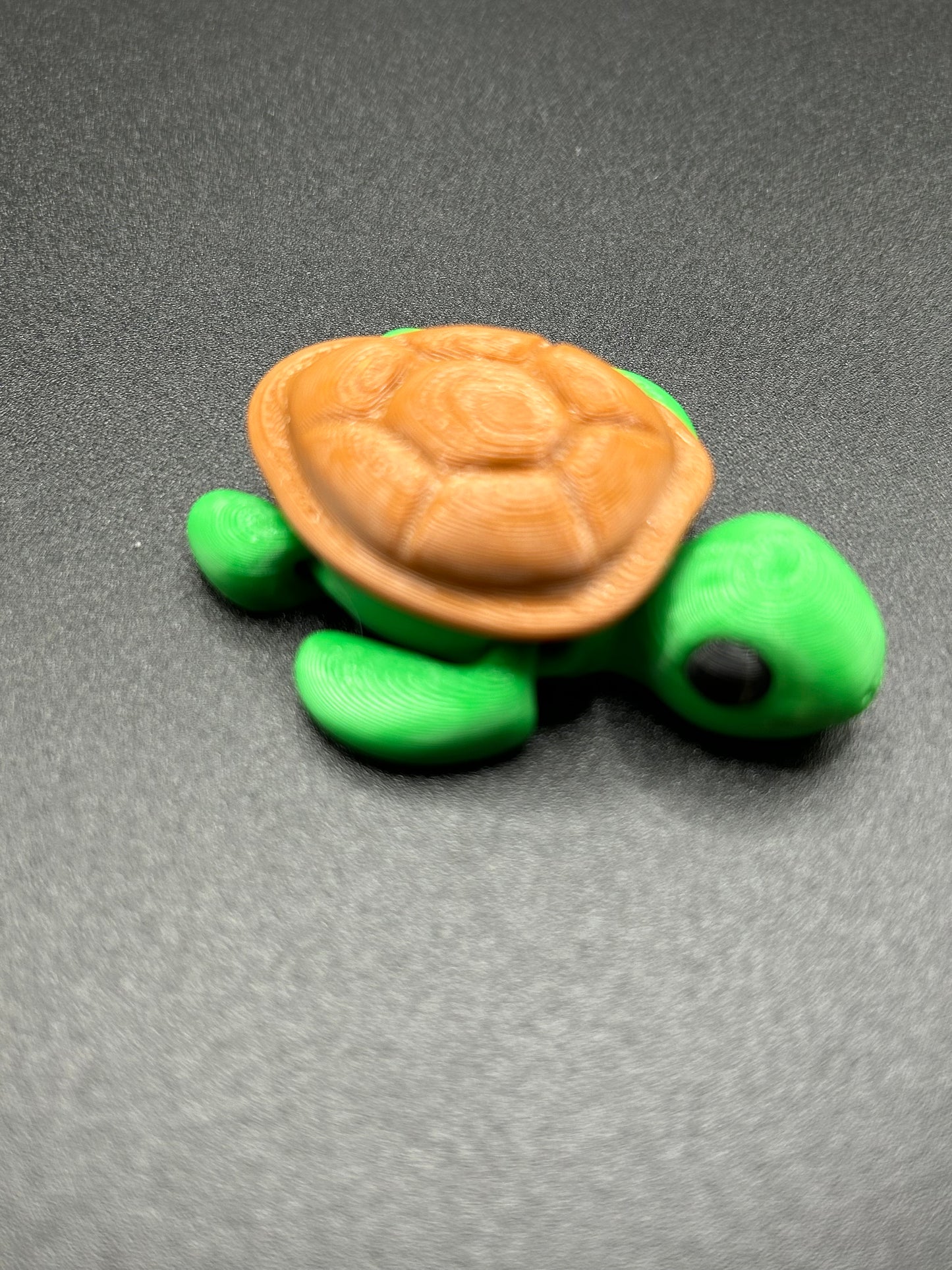 Turtle