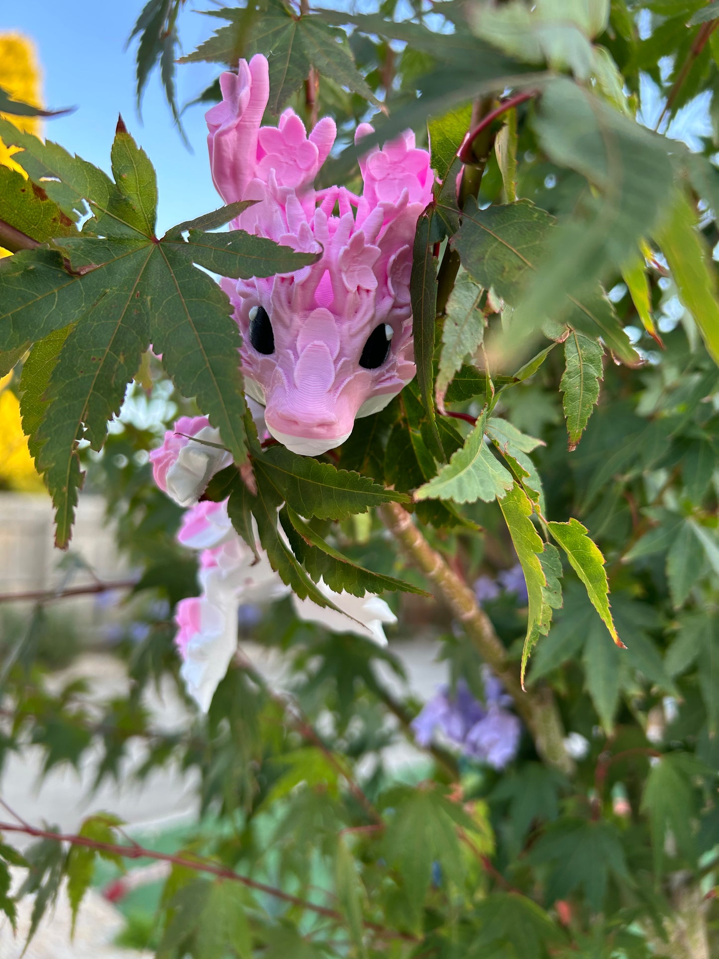 Cherry Blossom Dragons