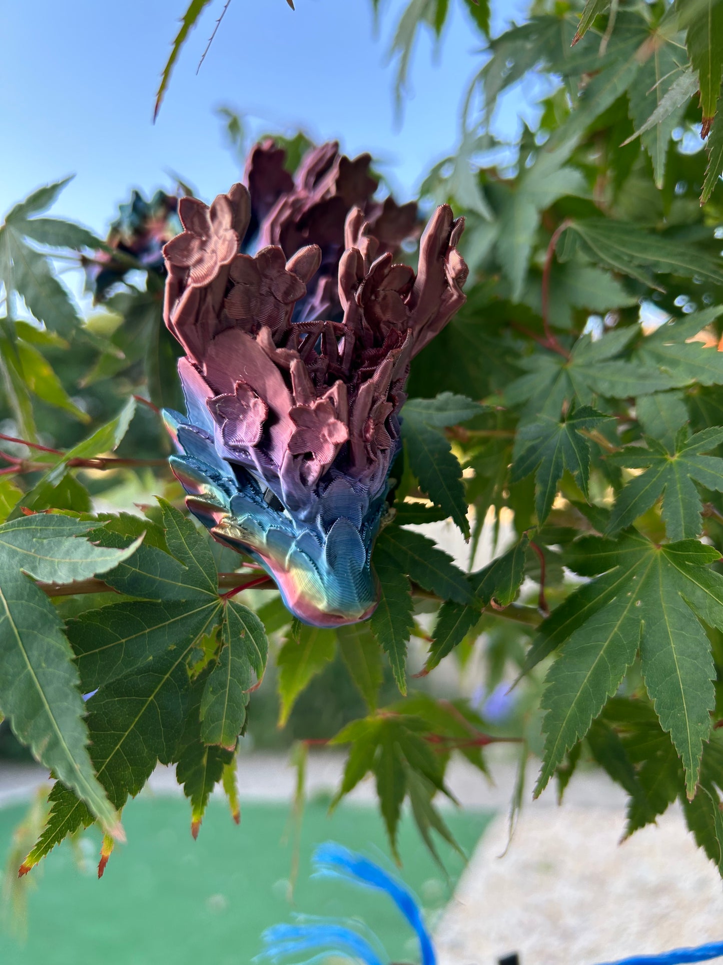 Cherry Blossom Dragons